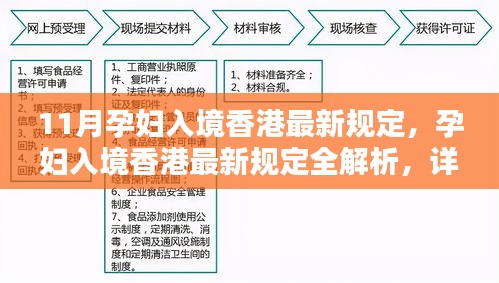 孕妇入境香港最新规定详解，全解析与步骤指南