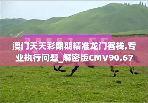 澳门天天彩期期精准龙门客栈,专业执行问题_解密版CMV90.67