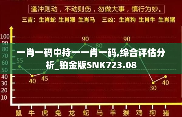 一肖一码中持一一肖一码,综合评估分析_铂金版SNK723.08