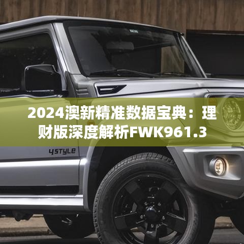 2024澳新精准数据宝典：理财版深度解析FWK961.3