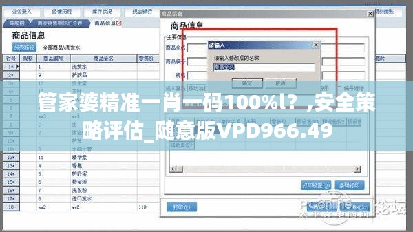 管家婆精准一肖一码100%l？,安全策略评估_随意版VPD966.49