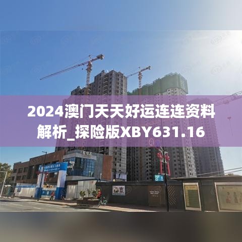 2024澳门天天好运连连资料解析_探险版XBY631.16