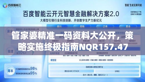 管家婆精准一码资料大公开，策略实施终极指南NQR157.47