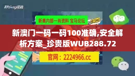 新澳门一码一码100准确,安全解析方案_珍贵版WUB288.72