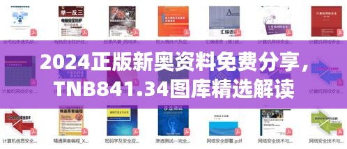 2024正版新奥资料免费分享，TNB841.34图库精选解读