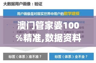 澳门管家婆100%精准,数据资料解释落实_付费版PAX376.24