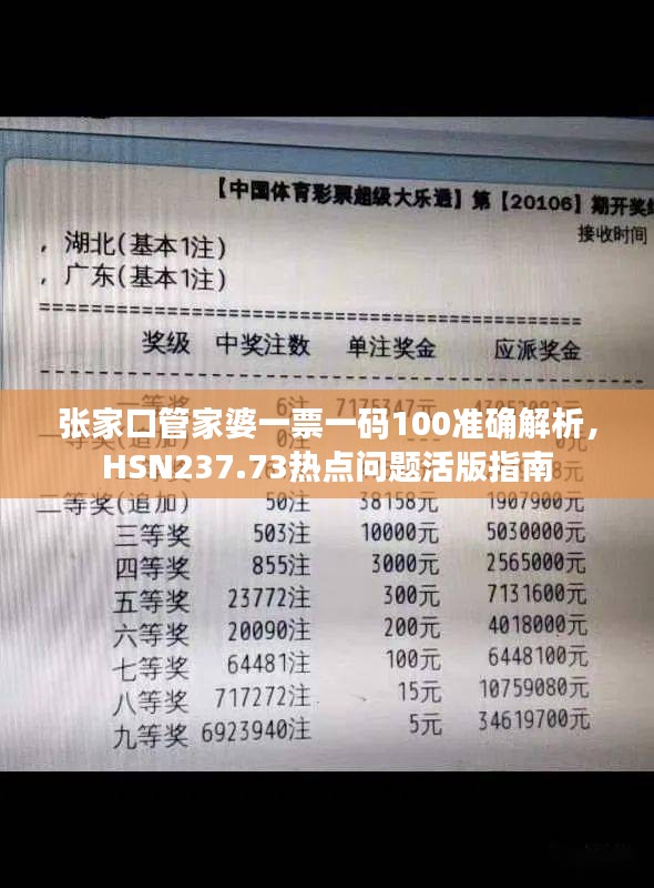 张家口管家婆一票一码100准确解析，HSN237.73热点问题活版指南