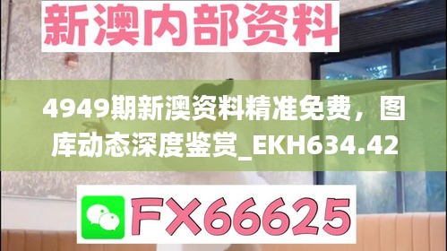 4949期新澳资料精准免费，图库动态深度鉴赏_EKH634.42专版