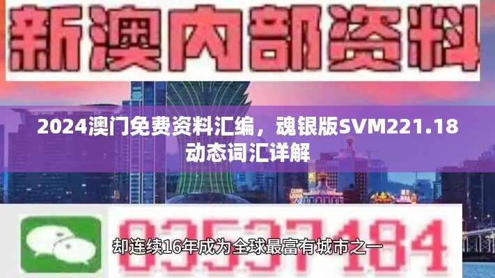 2024澳门免费资料汇编，魂银版SVM221.18动态词汇详解