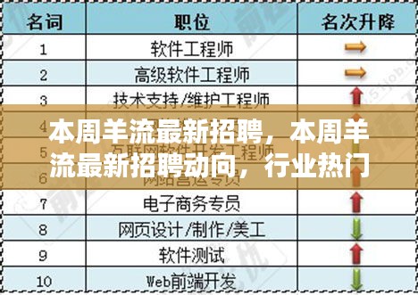 本周羊流最新招聘动态，热门职位与求职指南发布