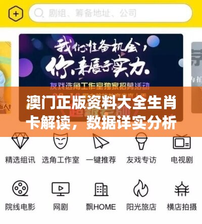 澳门正版资料大全生肖卡解读，数据详实分析——薄荷版AJP947.24