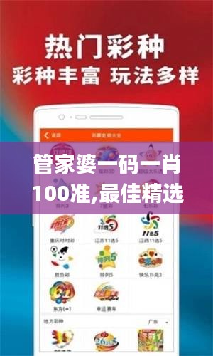 管家婆一码一肖100准,最佳精选解释定义_编程版UPO423.71