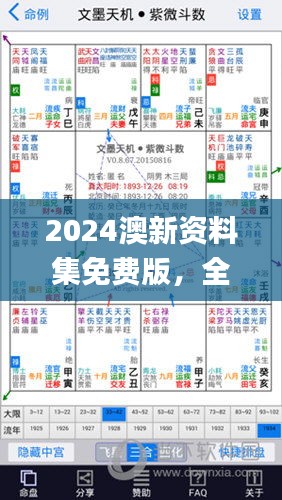 2024澳新资料集免费版，全面方案解析_高级版FMP361.67