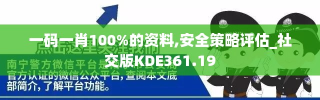 一码一肖100%的资料,安全策略评估_社交版KDE361.19