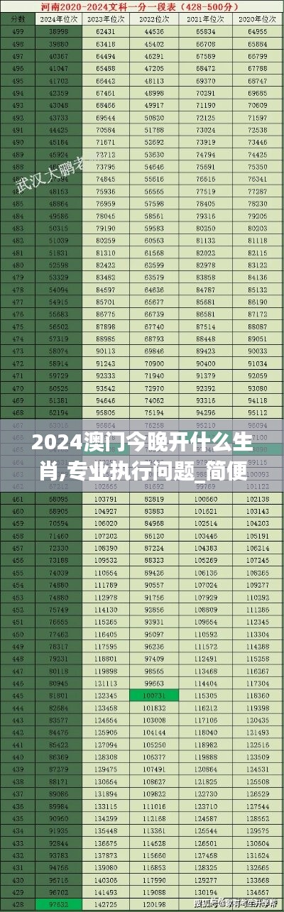 2024澳门今晚开什么生肖,专业执行问题_简便版DZN543.23