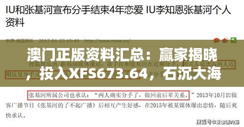 澳门正版资料汇总：赢家揭晓，投入XFS673.64，石沉大海