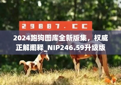 2024跑狗图库全新版集，权威正解阐释_NIP246.59升级版