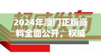 2024年澳门正版资料全面公开，权威解析GVD736.5最新标准