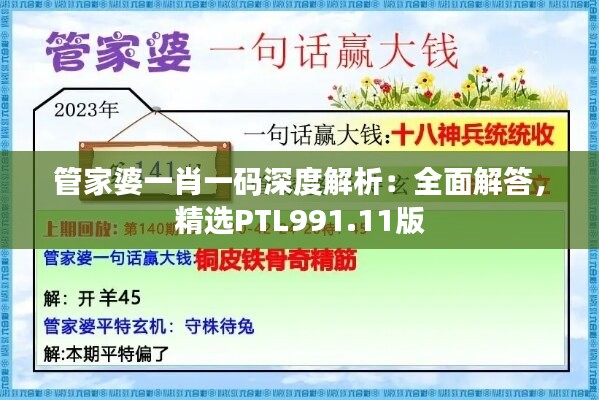 管家婆一肖一码深度解析：全面解答，精选PTL991.11版