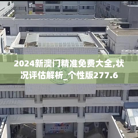 2024新澳门精准免费大全,状况评估解析_个性版277.6