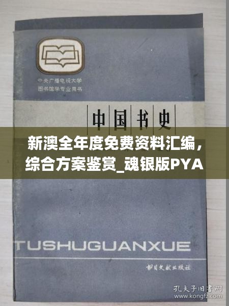 新澳全年度免费资料汇编，综合方案鉴赏_魂银版PYA588.16