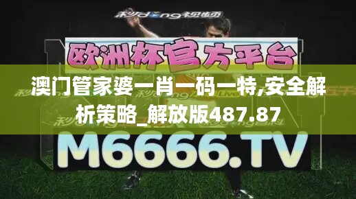 澳门管家婆一肖一码一特,安全解析策略_解放版487.87