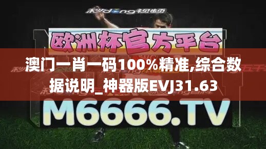 澳门一肖一码100%精准,综合数据说明_神器版EVJ31.63