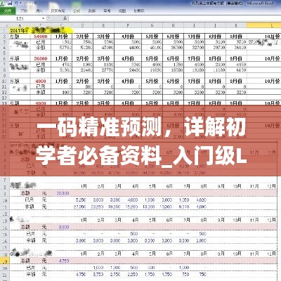 一码精准预测，详解初学者必备资料_入门级LVG419.4