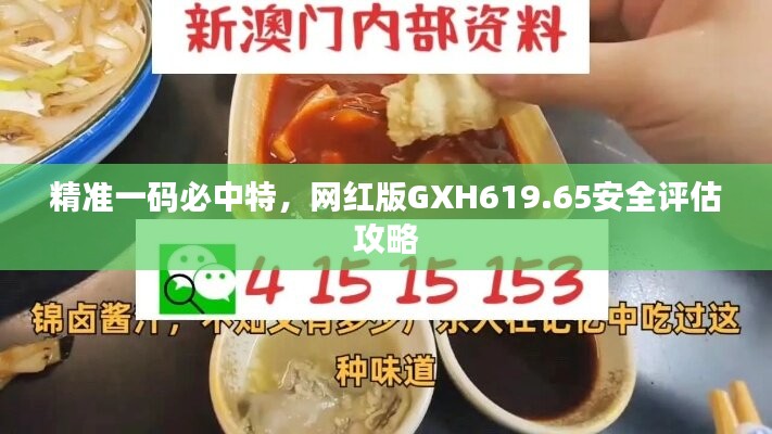 精准一码必中特，网红版GXH619.65安全评估攻略