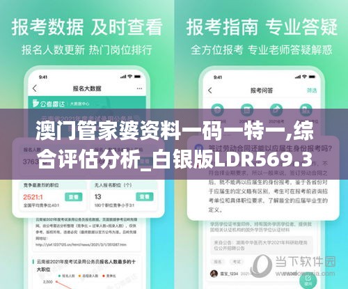 澳门管家婆资料一码一特一,综合评估分析_白银版LDR569.33