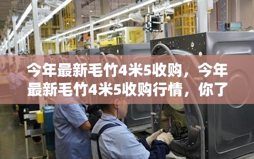 今年毛竹4米5收购行情解析，市场趋势深度探讨