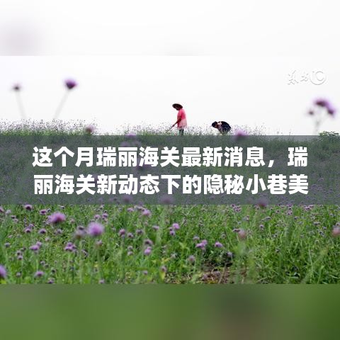 瑞丽海关新动态，隐秘小巷美食探秘之旅