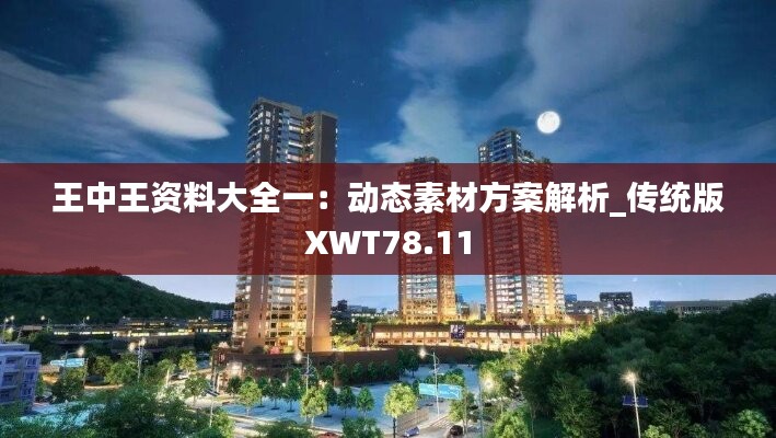 王中王资料大全一：动态素材方案解析_传统版XWT78.11