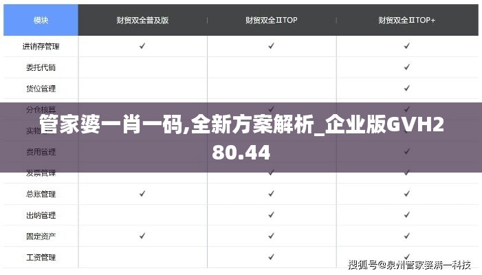 管家婆一肖一码,全新方案解析_企业版GVH280.44