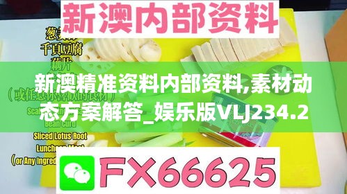 新澳精准资料内部资料,素材动态方案解答_娱乐版VLJ234.21