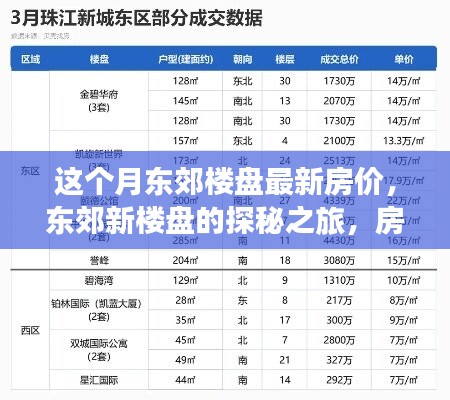 东郊楼盘最新房价揭秘，探寻新楼盘之旅与房价背后的温情故事