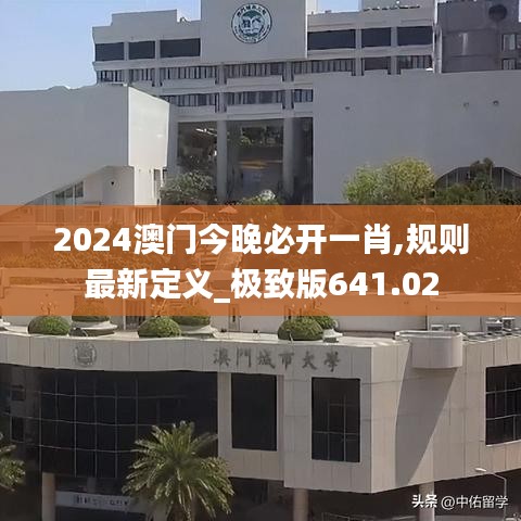 2024年11月10日 第40页