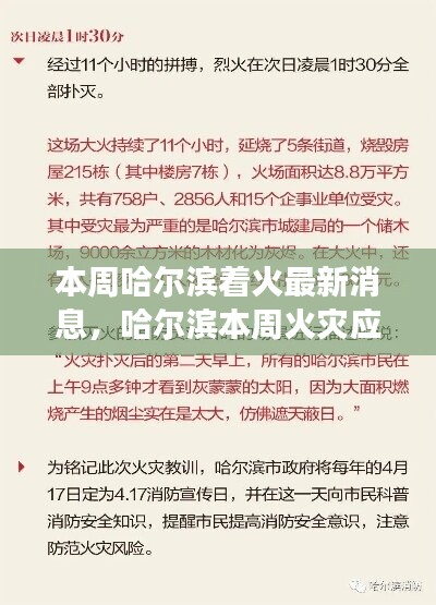 哈尔滨本周火灾最新消息及应对指南，初学者与进阶用户如何有效应对火情危机