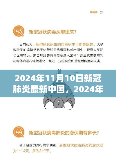 中国篇新冠肺炎防控指南，初学者与进阶用户必备步骤（2024年11月版）