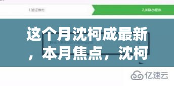 沈柯成最新产品全面评测与介绍，本月焦点热议话题