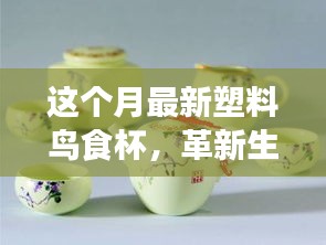 革新智能喂养时代，最新塑料鸟食杯引领潮流