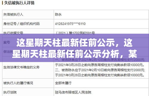 最新天柱任前公示及分析，某某观点的阐述