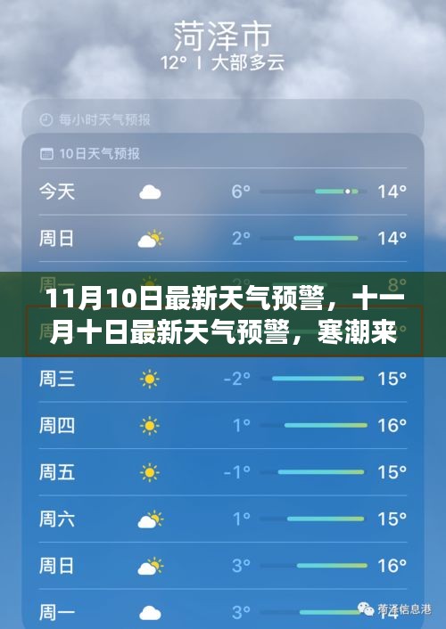 11月10日寒潮来袭，最新天气预警发布，保暖措施需迅速跟上！