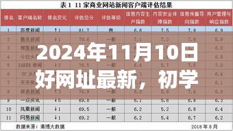 初学者与进阶用户必备指南，最新好网址大全（2024年11月版）