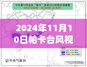 帕卡台风下的美食探秘，小巷隐世风味与独特小吃（最新视频报道）