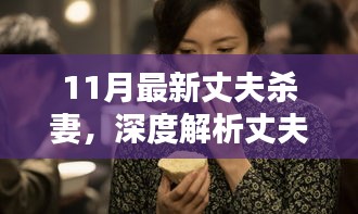 11月丈夫杀妻最新案例，深度解析背后的社会问题与反思