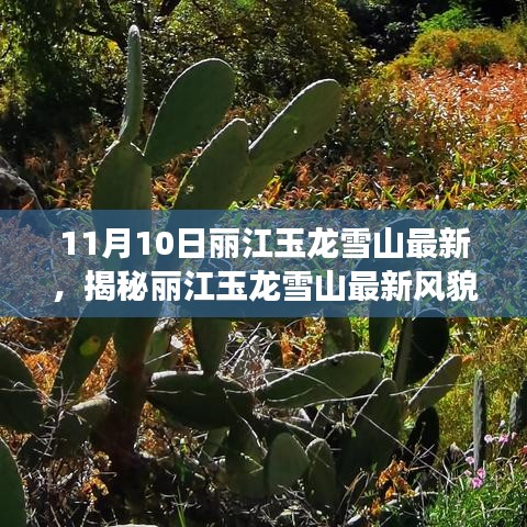 揭秘丽江玉龙雪山最新风貌，11月探秘之旅的独家发现