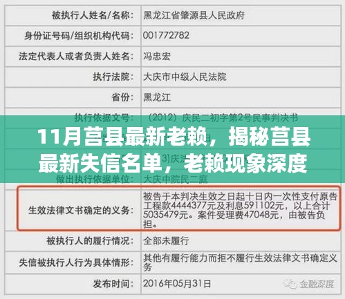 揭秘莒县失信名单更新情况，深度剖析老赖现象，附要点详解