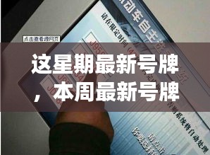 本周最新号牌热点解析，探寻数字背后的故事