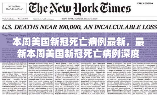 小红书带你深度解析本周美国新冠死亡病例最新数据，疫情现状一目了然